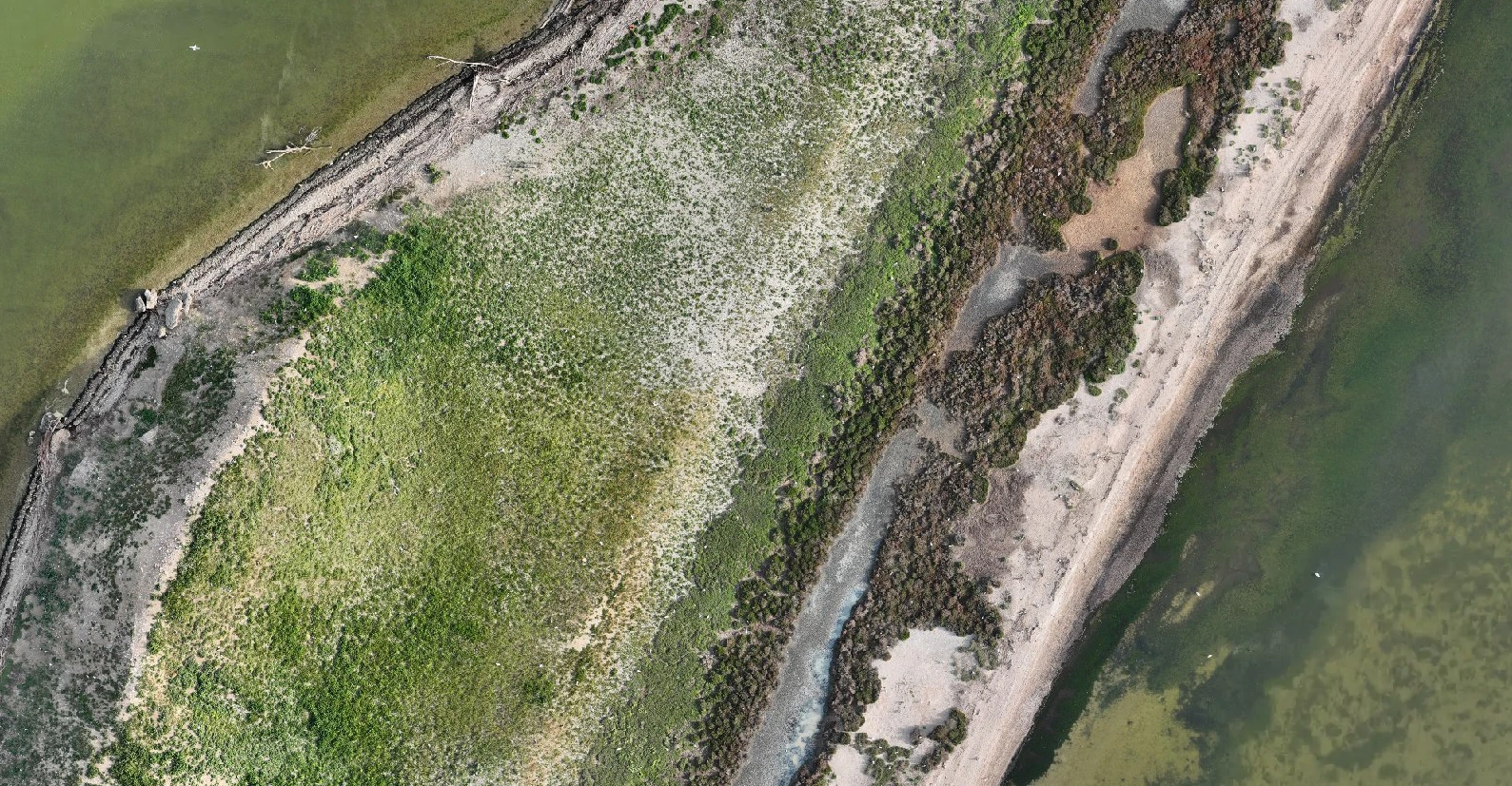 Ile de Planasse